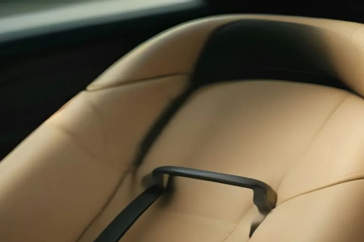Close-up of a car seat harness and buckle